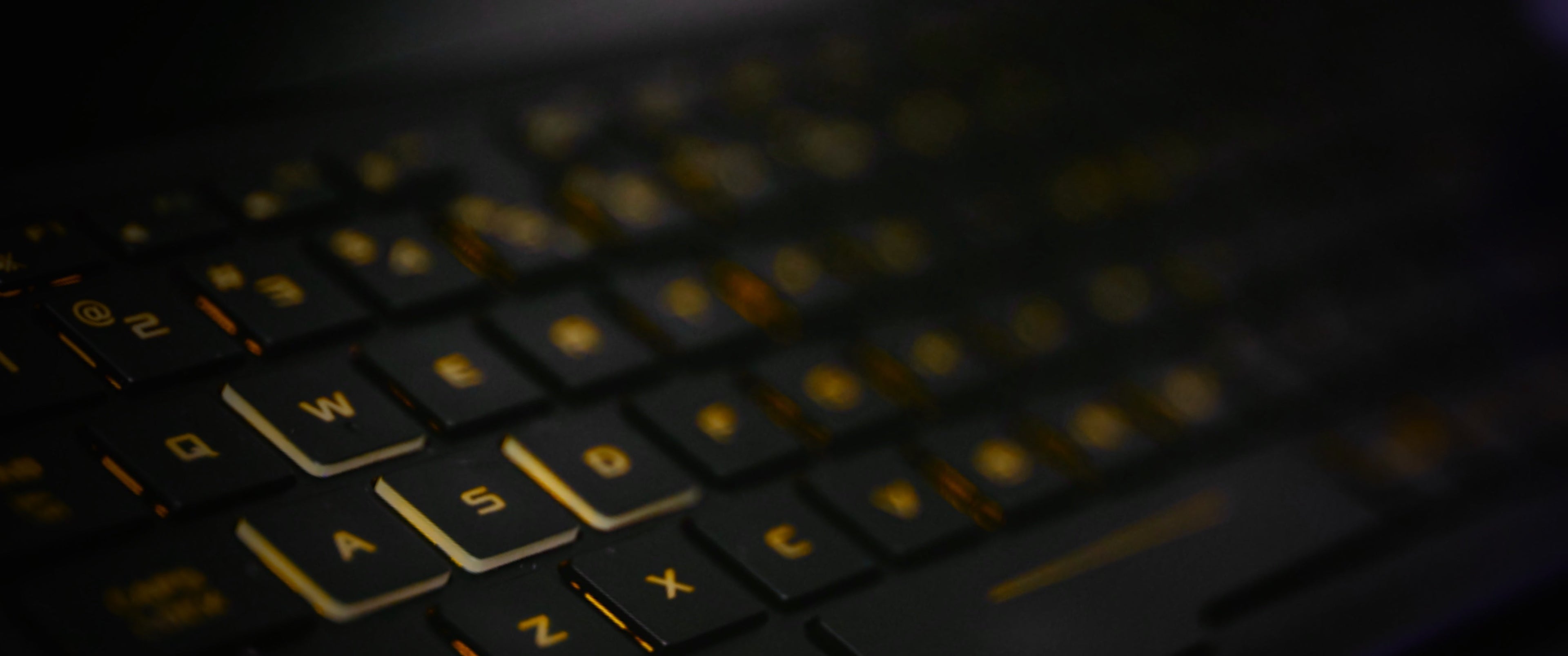 Some strange man has been writing things about us on the internet! Why?